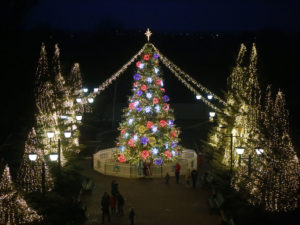Праздничная иллюминация площади и новогодняя елка г.Покровск