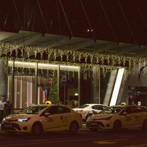Світлодіодні гірлянди IP67 LED ICELIGHT 4 X 1,5M 37852.02