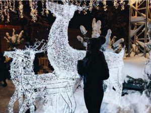 Світлодіодні олені Київ, Михайлівська площа, світлодіодні сані з оленями