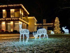 Новогоднее оформление коттеджа и территории Киевская область, светодиодные олени, светящиеся олени